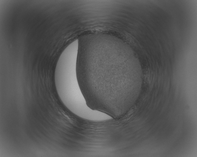 X0000067480660200604211634