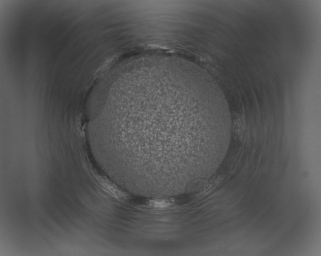 X0000067480662200604211634