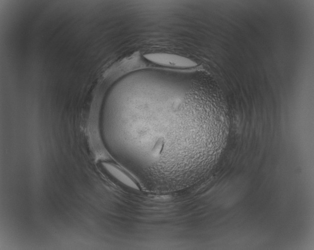 X0000067480665200604211634