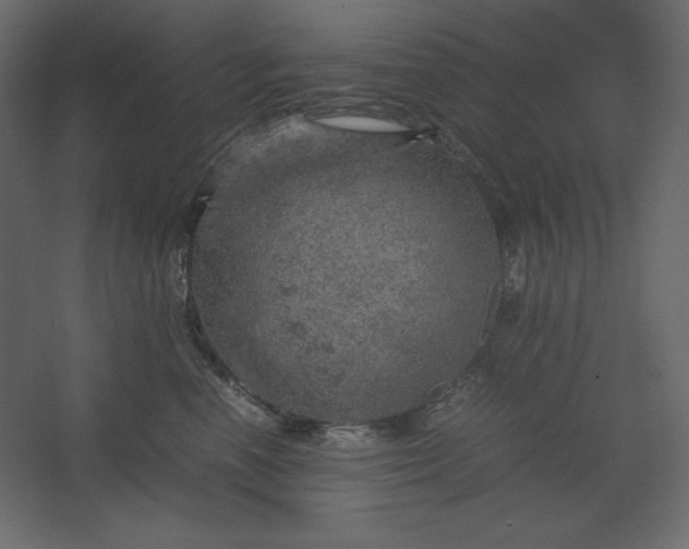 X0000067480666200604211634