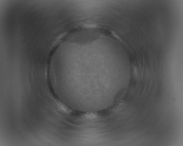 X0000067480668200604211634