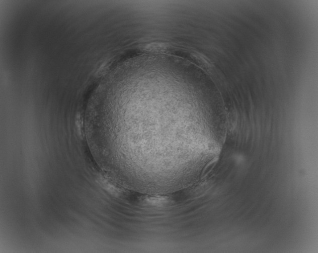 X0000067480669200604211634