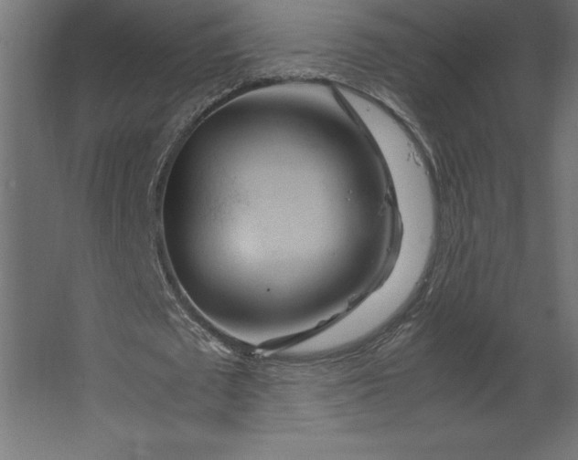 X0000067480673200604211634