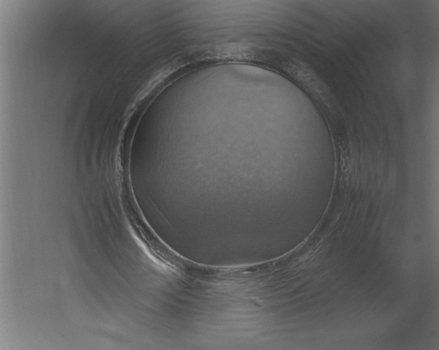 X0000067480674200604211634