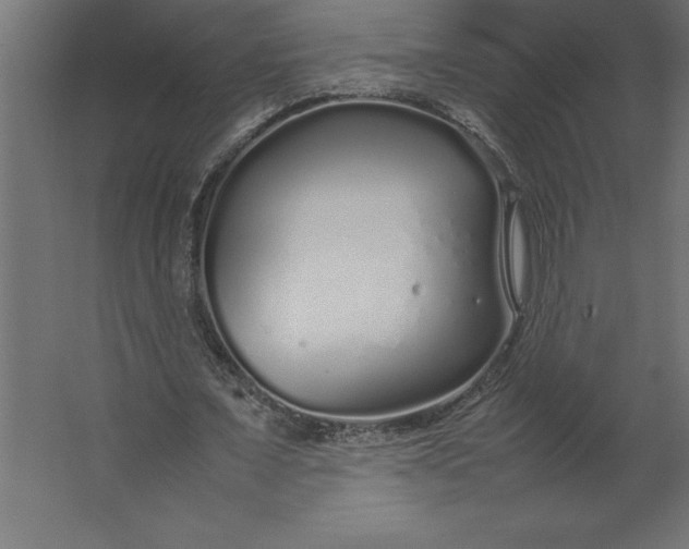 X0000067480675200604211634