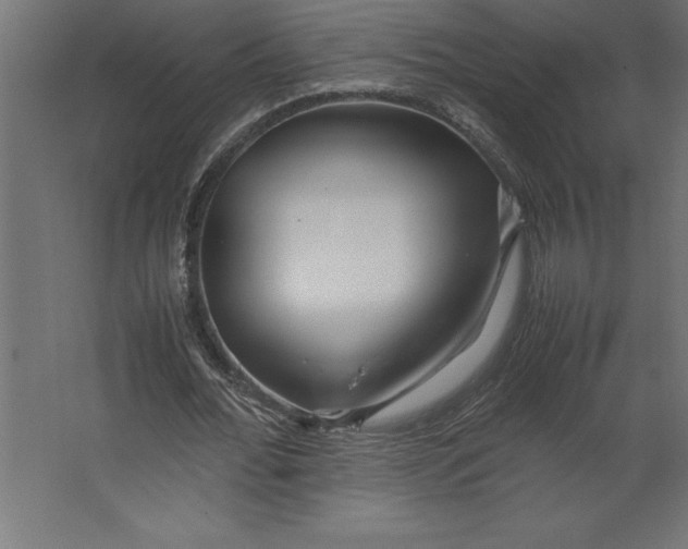 X0000067480676200604211634