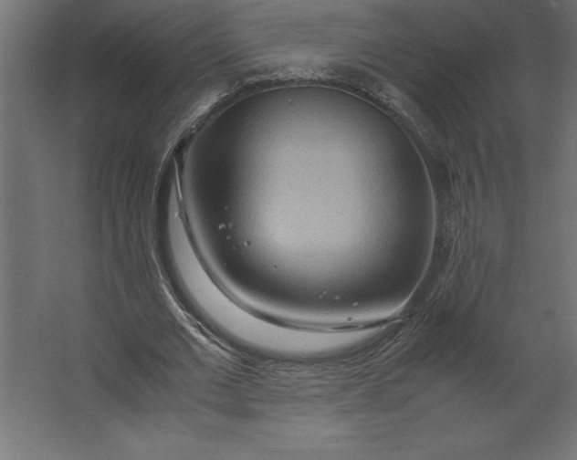 X0000067480677200604211634