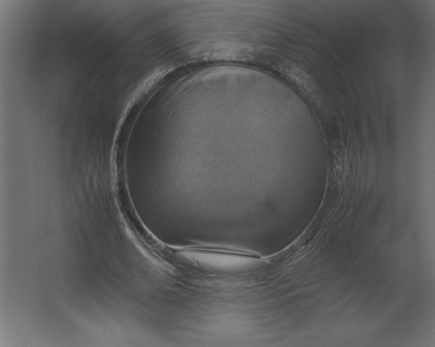 X0000067480678200604211634