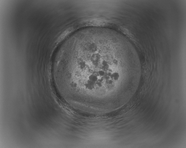 X0000067480679200604211634