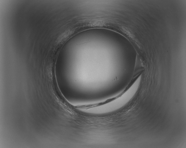 X0000067480681200604211634