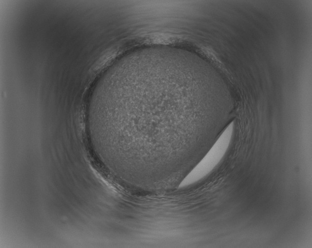 X0000067480683200604211633