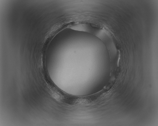 X0000067480685200604211633