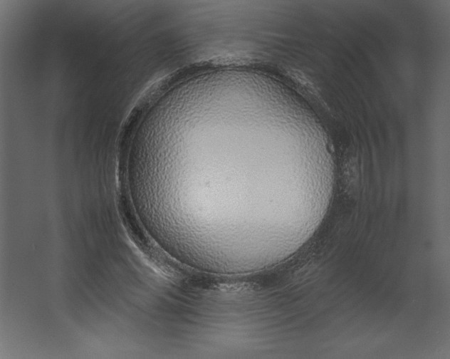 X0000067480686200604211633