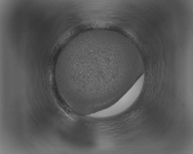 X0000067480687200604211633