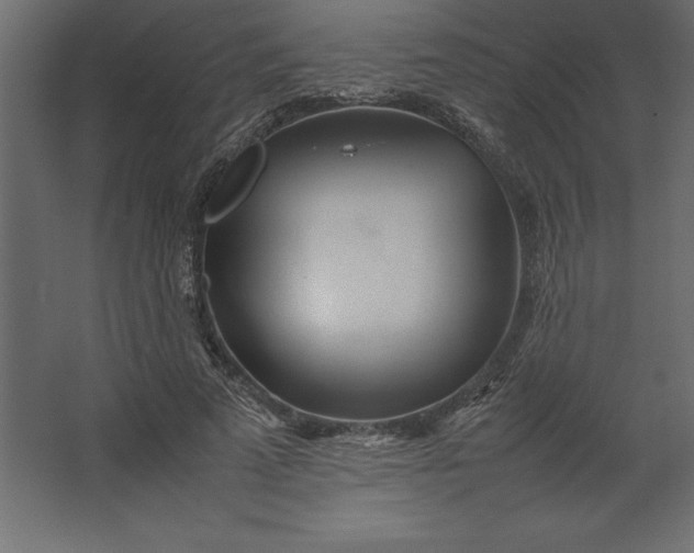 X0000067480689200604211633