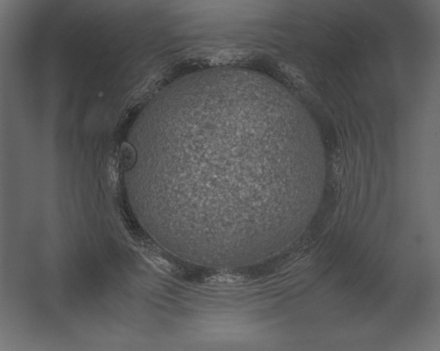 X0000067480691200604211633