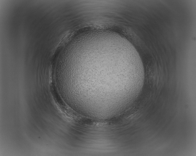 X0000067480694200604211633