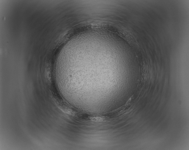 X0000067480698200604211633