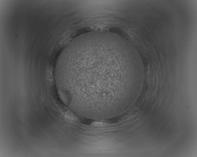 X0000067480699200604211633