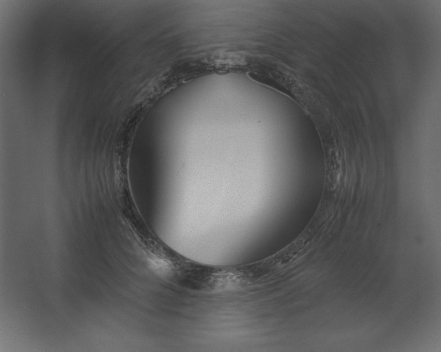 X0000067480704200604211633