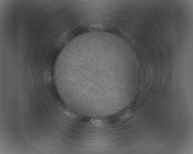 X0000067480706200604211633