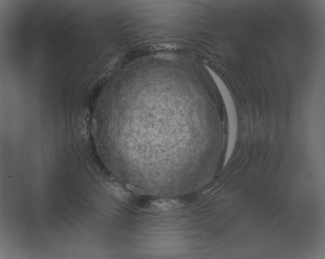 X0000067480712200604211633