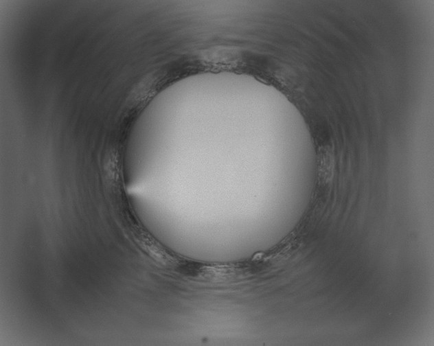 X0000067480713200604211633