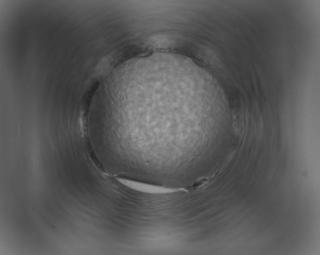 X0000067480718200604211633