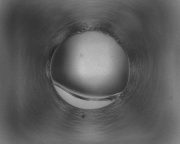 X0000067480719200604211633