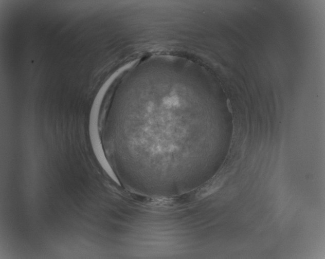 X0000067480720200604211633