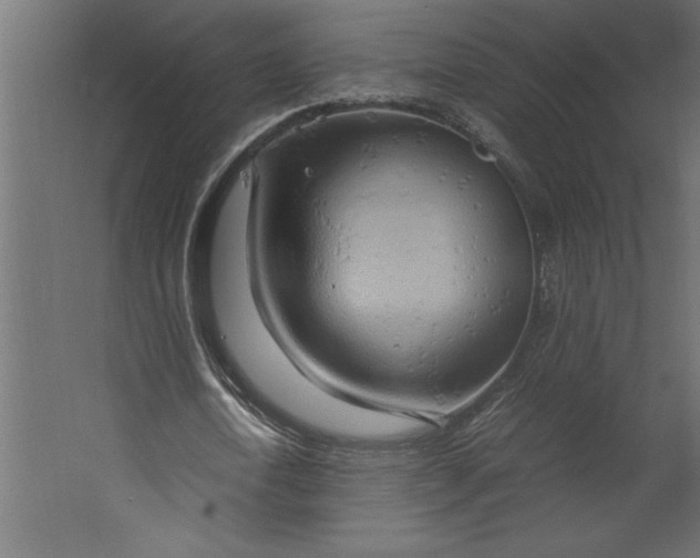 X0000067480722200604211632