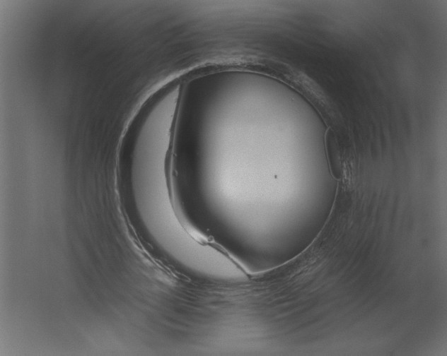 X0000067480724200604211632