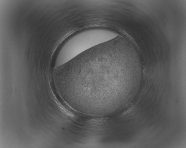 X0000067480725200604211632