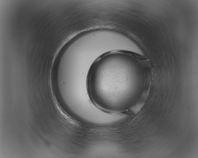 X0000067480726200604211632