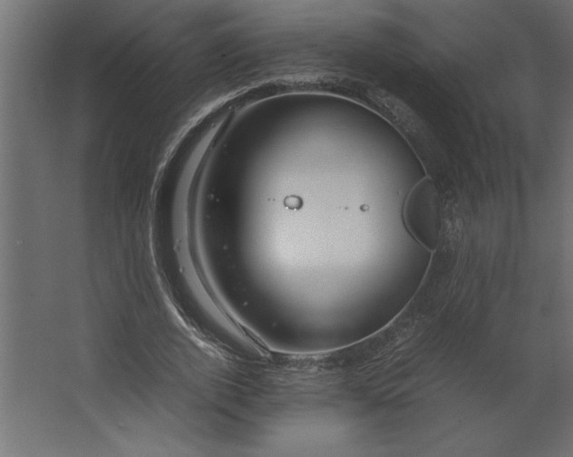 X0000067480728200604211632