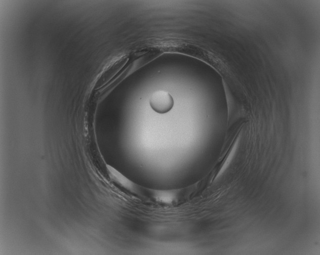 X0000067480731200604211632