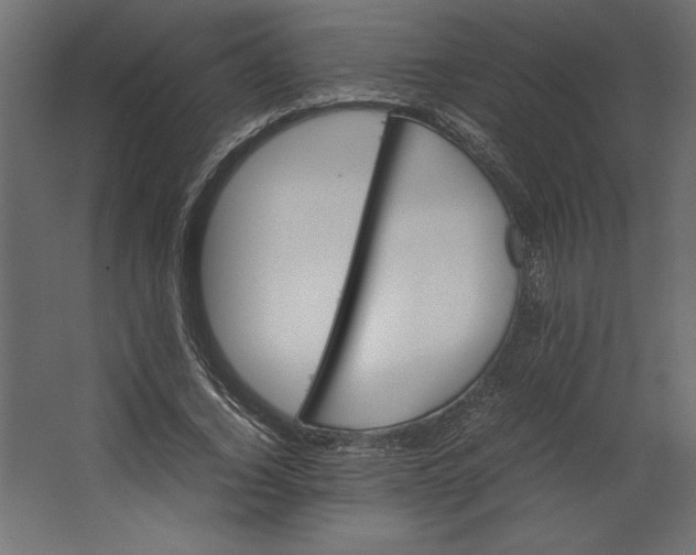 X0000067480732200604211632