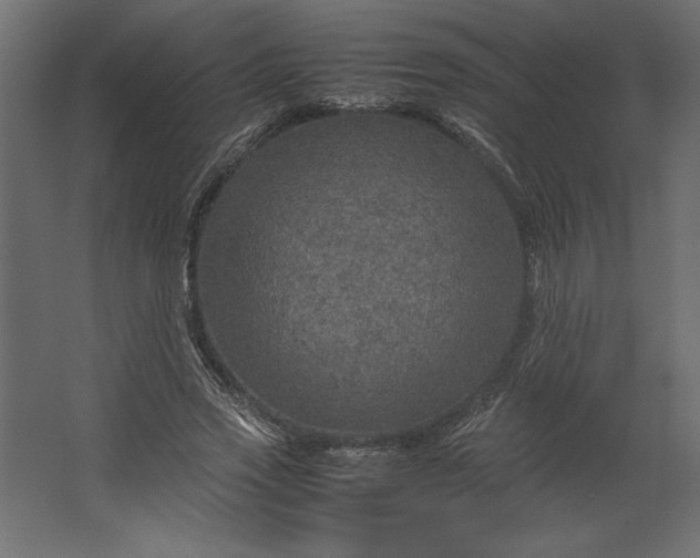 X0000067480733200604211632