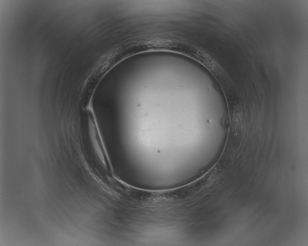 X0000067480734200604211632