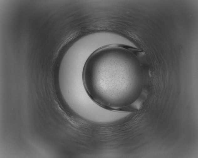 X0000067480735200604211632