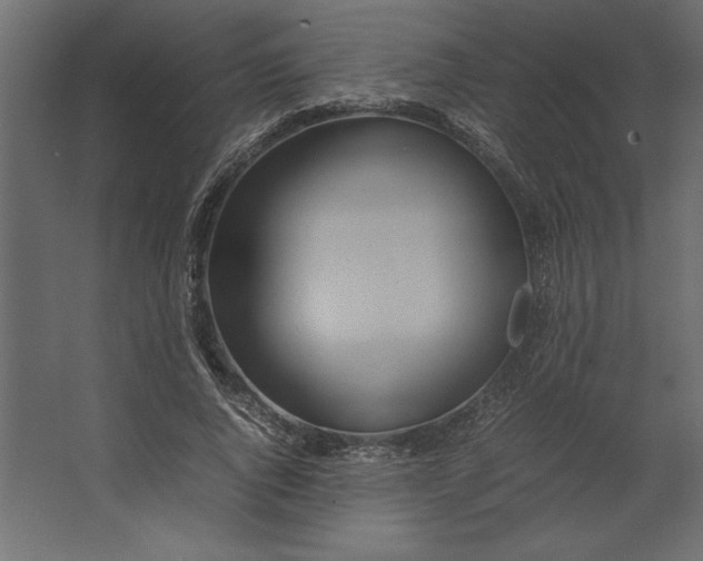 X0000067480736200604211632