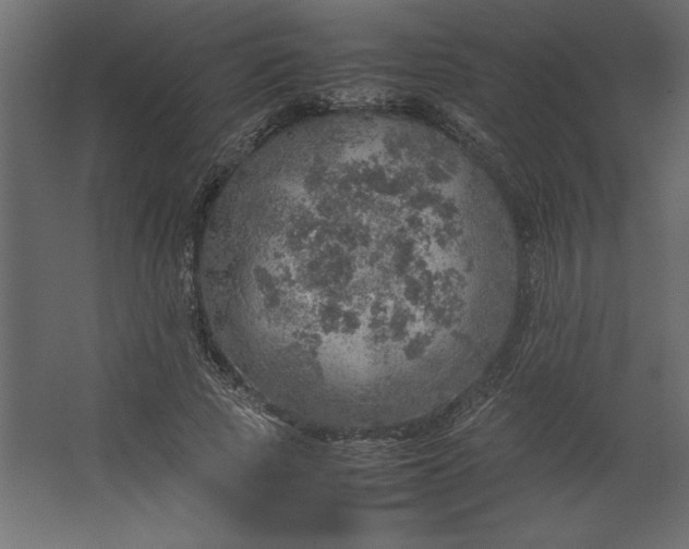 X0000067480737200604211632