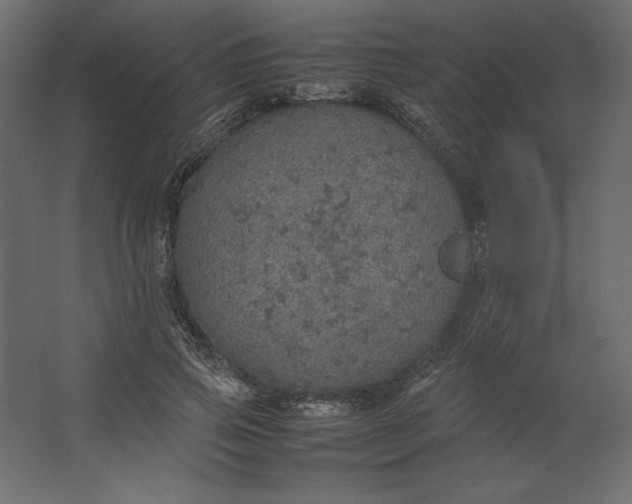 X0000067480741200604211632