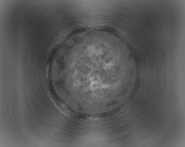 X0000067480742200604211632