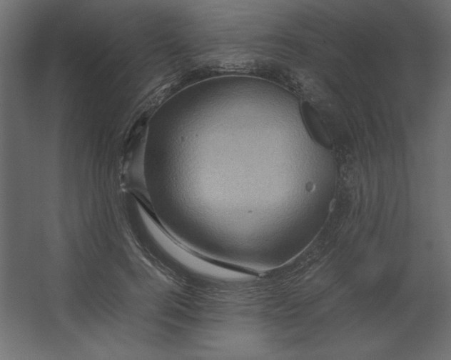 X0000067480744200604211632