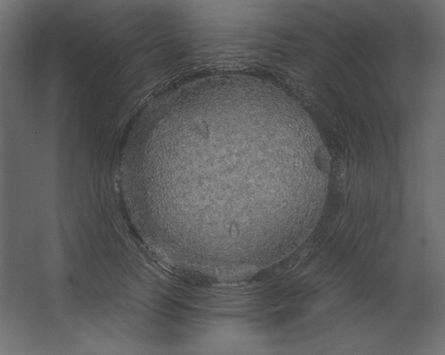 X0000067480746200604211632