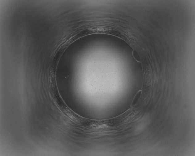 X0000067480747200604211632