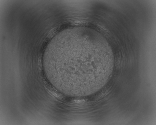 X0000067480749200604211632