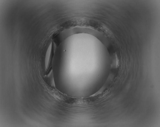 X0000067480750200604211633