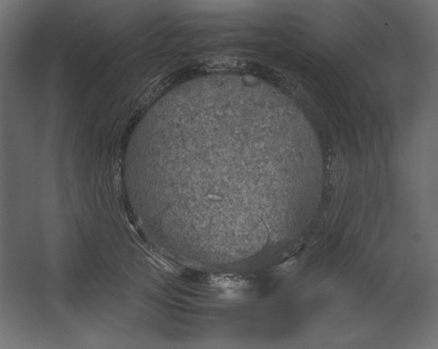 X0000067480753200604211633